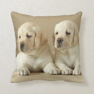 Coussin Deux Marionnettes Golden Labrador