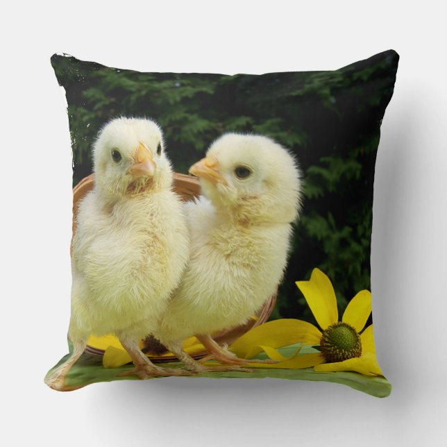Coussin deux mignonnes petites poussins (Recto)