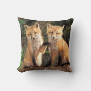 Coussin Deux Pups Red Fox devant leur Den