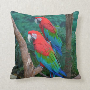 Coussin Deux rouges et arums à ailes verts Chloropterus