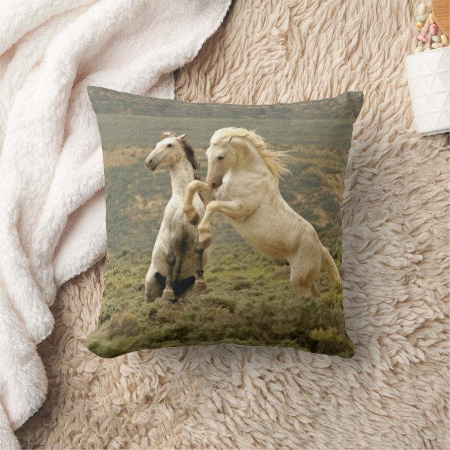 Coussin Deux Stallions sauvages combattent (Couverture)