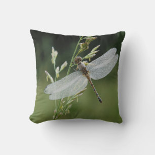 Coussin Dew couvert Darner Dragonfly