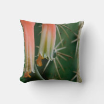 Dew sur Aloe Bloom