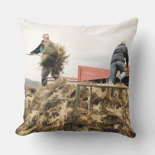 COUSSIN D'EXTÉRIEUR AGRICULTURE (Recto)