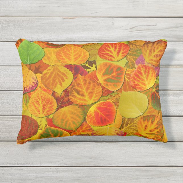 Coussin D'extérieur Aspen Feuilles Collage Solid Medley 1 (Devant)