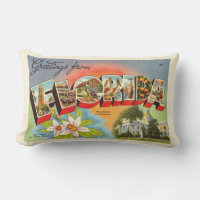 Carte postale Retro Floride Salutation Jeu d'oreil