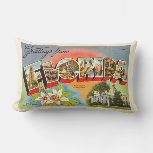 Coussin D'extérieur Carte postale Retro Floride Salutation Jeu d'oreil (Recto)