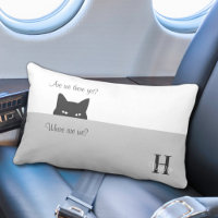 Chat Sneaky Nous Y Sommes Pourtant Voyage