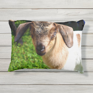 Coussin D'extérieur Chèvre adorable de bébé