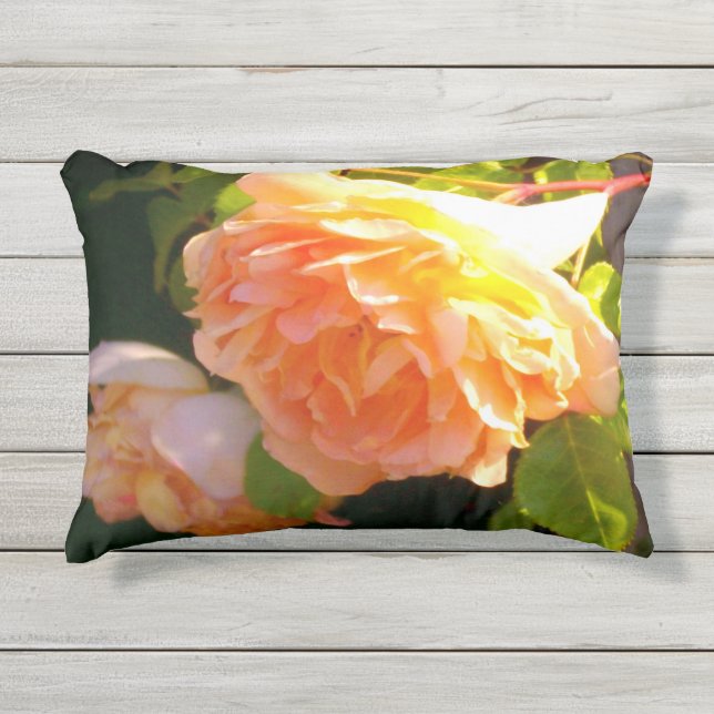 Coussin D'extérieur Country Peach Rose oranges fleurs (Devant)
