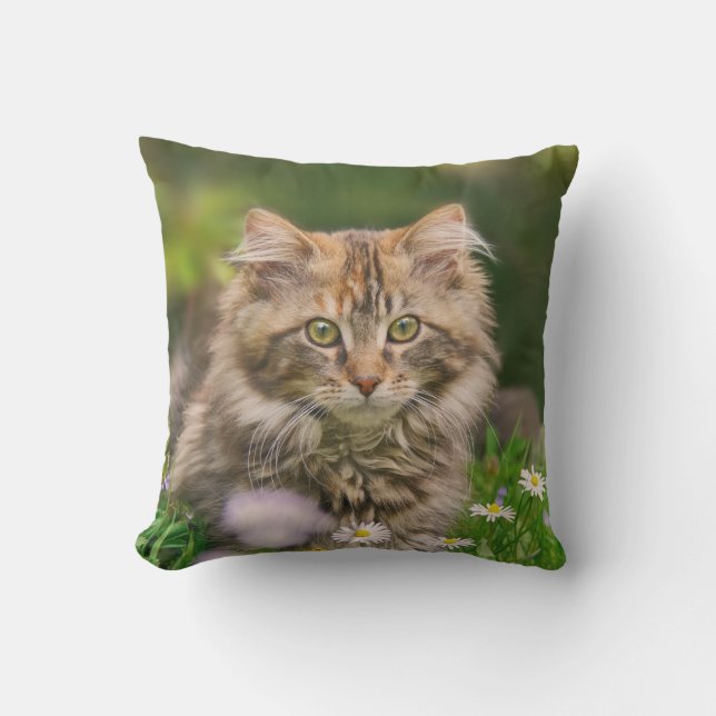 Coussin D'extérieur Cute Maine Coon Kitten Fleurs de chats - pour l'ex (Recto)