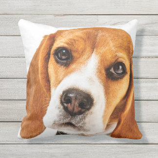 COUSSIN D'EXTÉRIEUR FOYER DE VISAGE DE BEAGLE