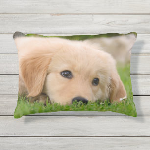 Coussin D'extérieur Golden Retriever mignon Chiot Dreams Chien Tête Ph