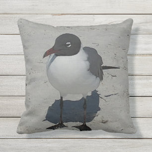Coussin D'extérieur Mouette de la Floride d'île de trésor