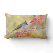 Oiseau sur l'oreiller à lancer de baguette