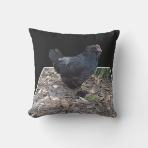 Coussin D'extérieur Poulet à chair noire,