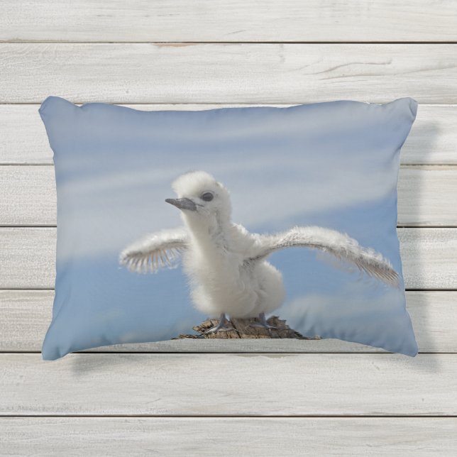 Coussin D'extérieur Sauvez notre chasse aux oiseaux marins par RoseWri (Devant)