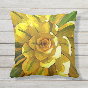 Coussin D'extérieur Succulent d'Aeonium de rayon de soleil