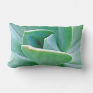 Coussin D'extérieur Swirl Succulent