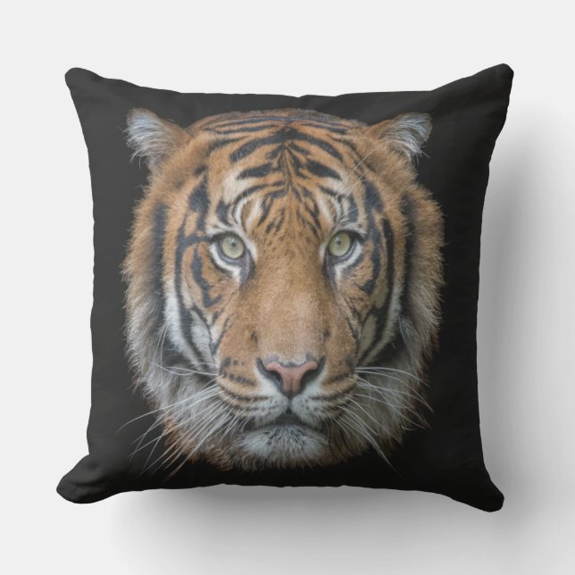Coussin D'extérieur Un tigre du Bengale (Recto)