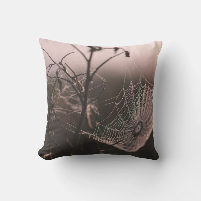 Coussin d'Halloween Spiderweb (Recto)