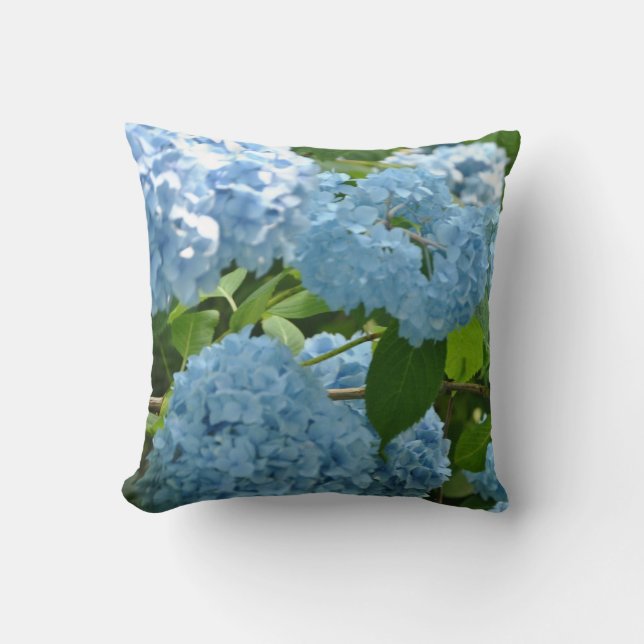 Coussin d'hortensia (Recto)