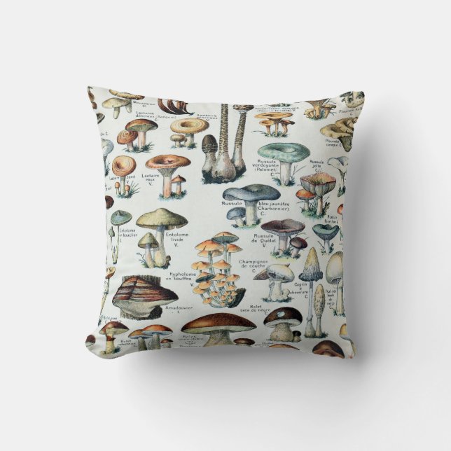 Coussin Diagramme comestible vintage de champignon (Recto)