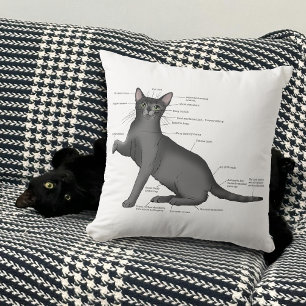 Coussin Diagramme d'anatomie de chat drôle Humour Nerd