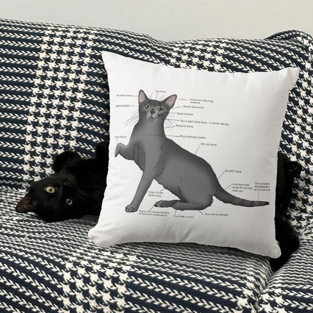Coussin Diagramme d'anatomie de chat drôle Humour Nerd (Créateur téléchargé)