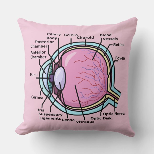 Coussin Diagramme de l'oeil (Recto)