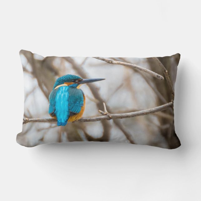 Coussin d'intérieur ou extérieur d'oiseau de (Recto)