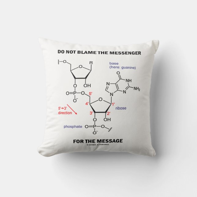 Coussin Do Not Blame (Recto)