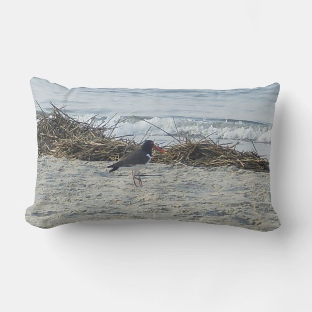 Coussin d'oiseau de bécasseau à la plage (Recto)