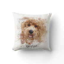 Doodle doré personnalisé/Cavapou