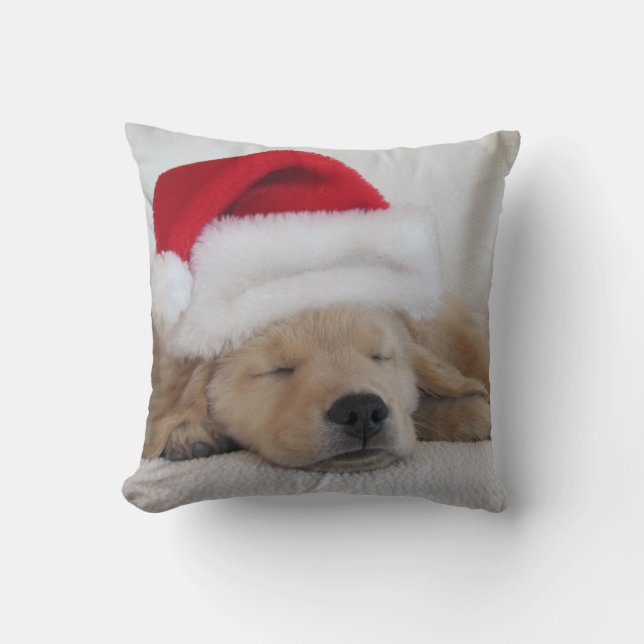 Coussin d'or de chiot (Recto)