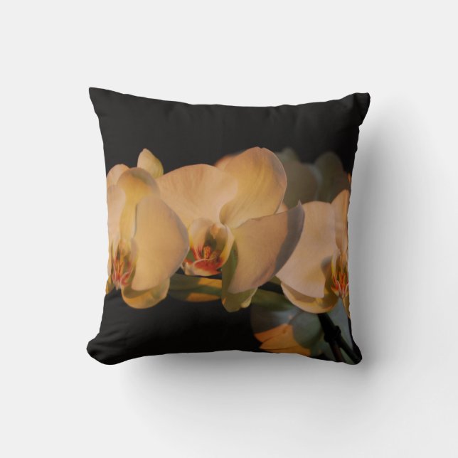 coussin d'orchidées couché de soleil (Recto)