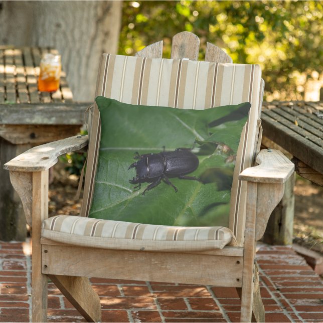 Coussin Dorcus parallelipipedus, le moindre dendroctone du (Chaise)