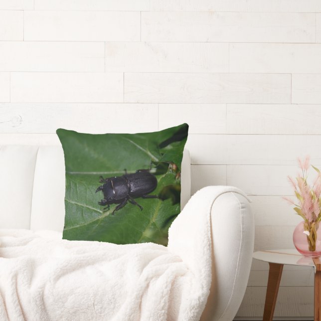Coussin Dorcus parallelipipedus, le moindre dendroctone du (Canapé)