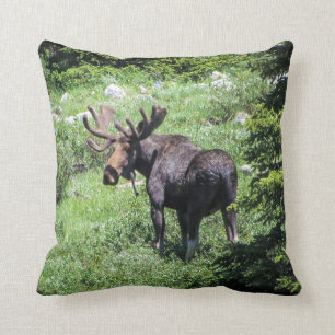 Coussin d'orignaux
