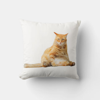 Coussin doux avec chat orange mignon