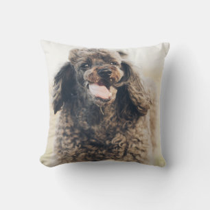 Coussin Doux Poodle Chien Visage Sourire souriant