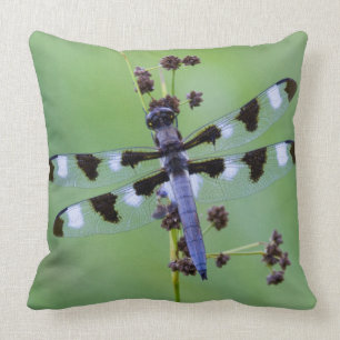 Coussin Dragon fly perched on grass
