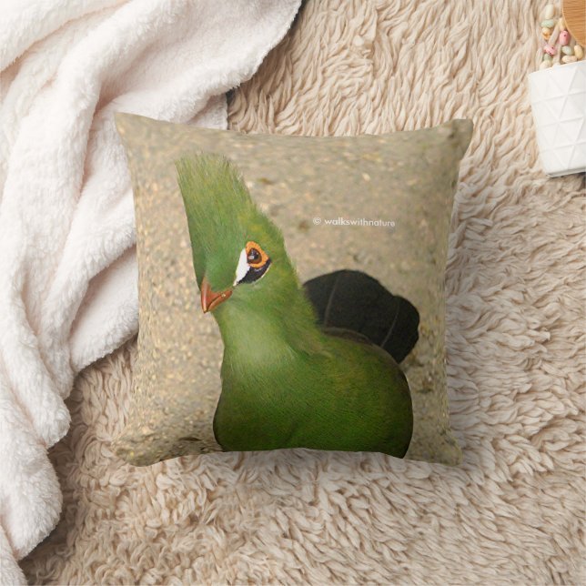 Coussin Drôle Curieux Guinée Turaco Oiseau Vert (Couverture)