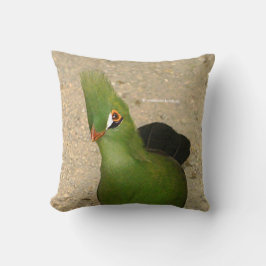 Coussin Drôle Curieux Guinée Turaco Oiseau Vert