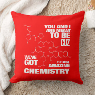 Coussin Drôle veut dire être nous avons une chimie Extraor