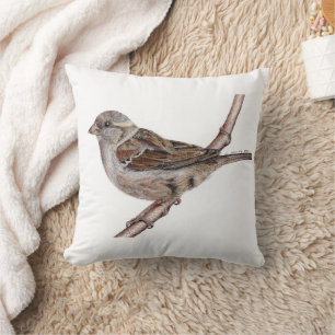 Coussin du Bruant (Passer Domesticus)
