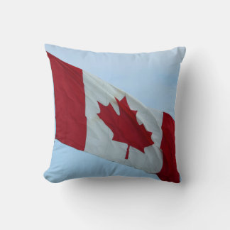 coussin du drapeau du pays