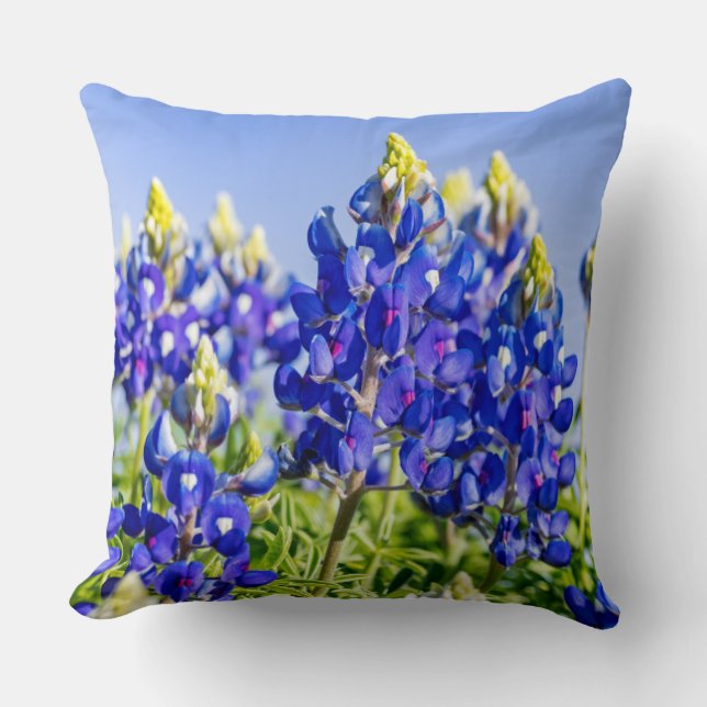 Coussin du Texas Bluebonnets (Recto)