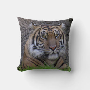 Coussin du tigre du Bengale (4765)