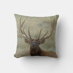 Coussin E10 Élan mâle en tête de velours